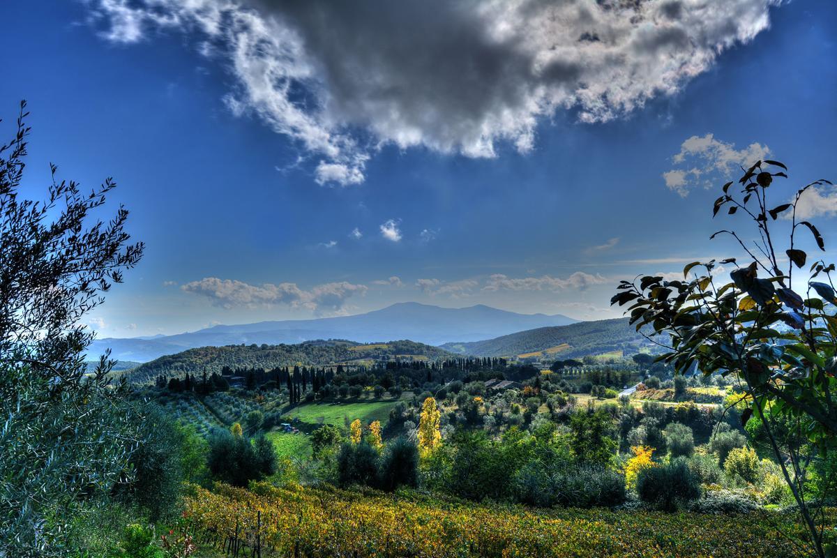 Agriturismo Fraschetta Μονταλτσίνο Εξωτερικό φωτογραφία